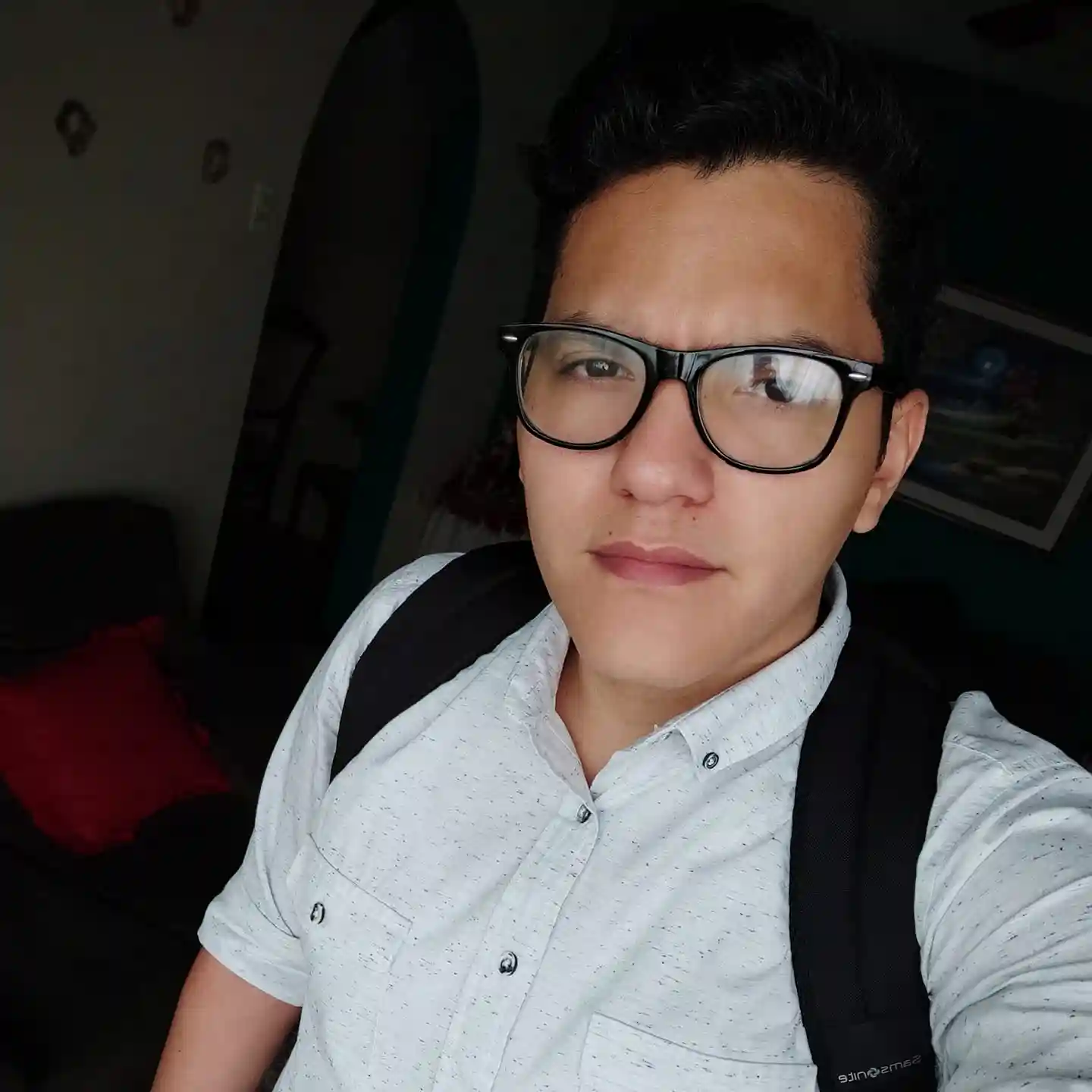 Luis Miguel Moncada Hernandez
